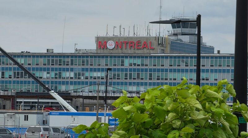 Montréal–Alger : combien coûte un billet Air Algérie pour les fêtes de fin d’année ?