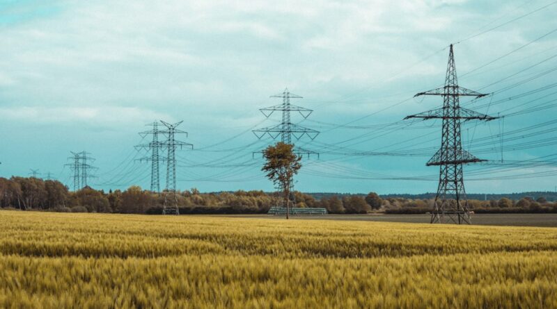 Énergie : 107 704 exploitations agricoles raccordées à l’électricité depuis 2022