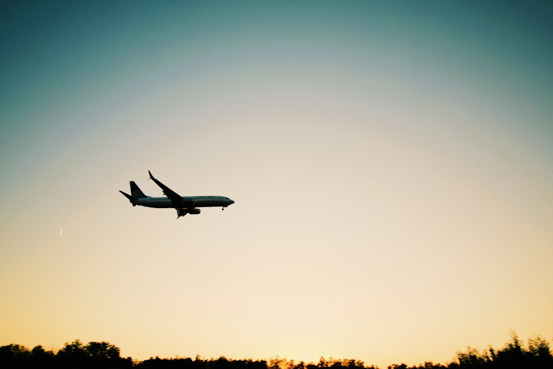 Air Algérie : Londres dès 44 377 DA et Le Caire dès 53 000 DA