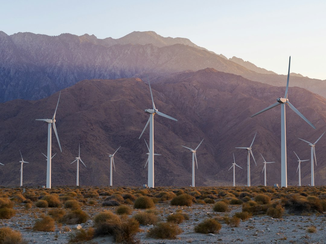 Éolien en Algérie : Sonelgaz ajoute une étape pour deux parcs de 100 MW Éolien en Algérie : Sonelgaz ajoute une étape pour deux parcs de 100 MW